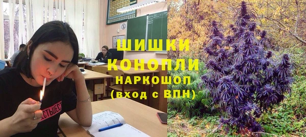 МДПВ Ельня