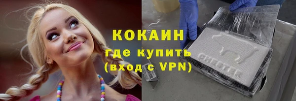 МДПВ Ельня