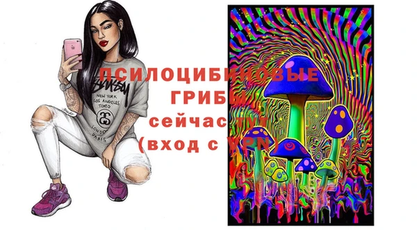 МДПВ Ельня