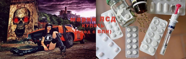 МДПВ Ельня