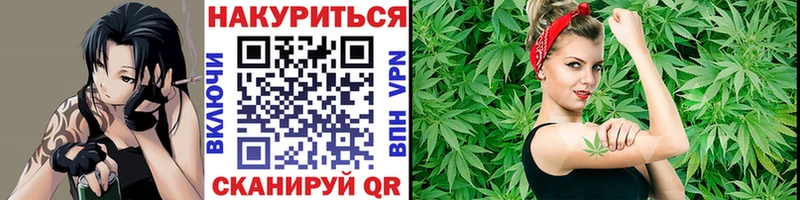 Купить  Кизел  Каннабис ГИДРОПОН 